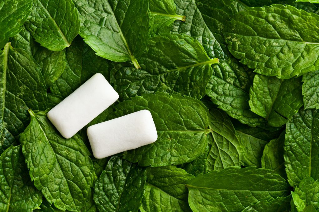 mint leaves and chewing gum